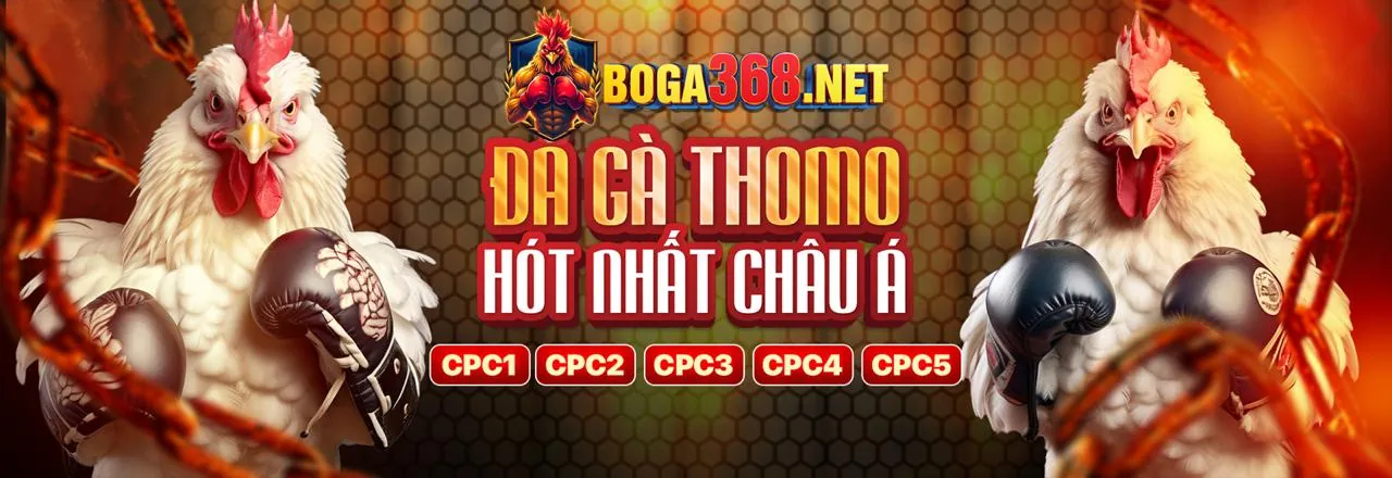 Các loại hình đá gà phổ biến tại OKWIN8